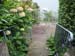 railings_043